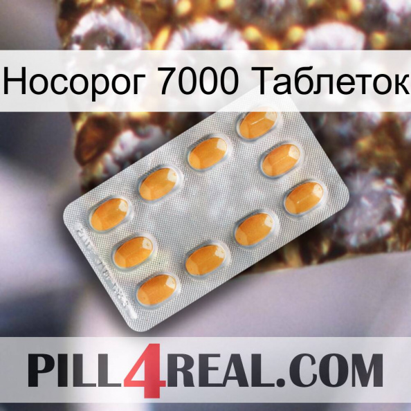 Носорог 7000 Таблеток cialis3.jpg